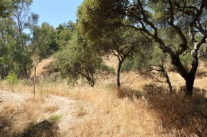 Los Angeles parcel sale